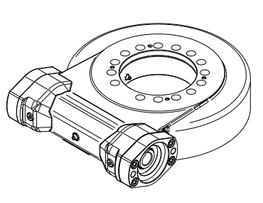 Slewing Ring